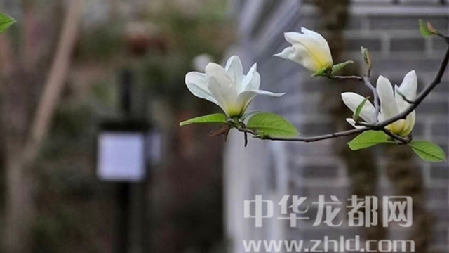 淮陽蓮舍，多了一份味道