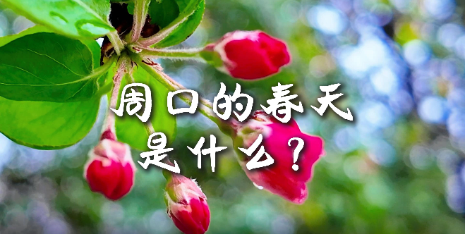周口的春天，待你慢慢遇見